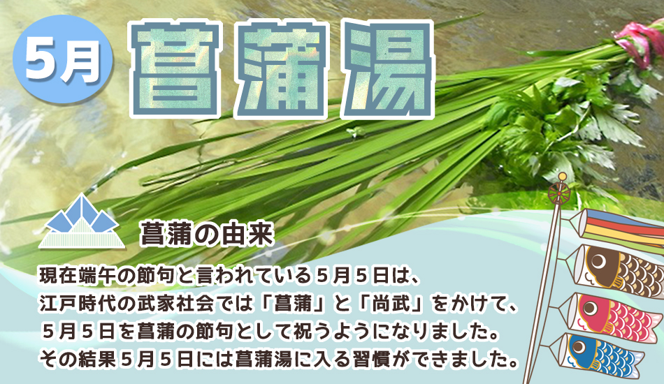 5月のお風呂は、菖蒲湯です。